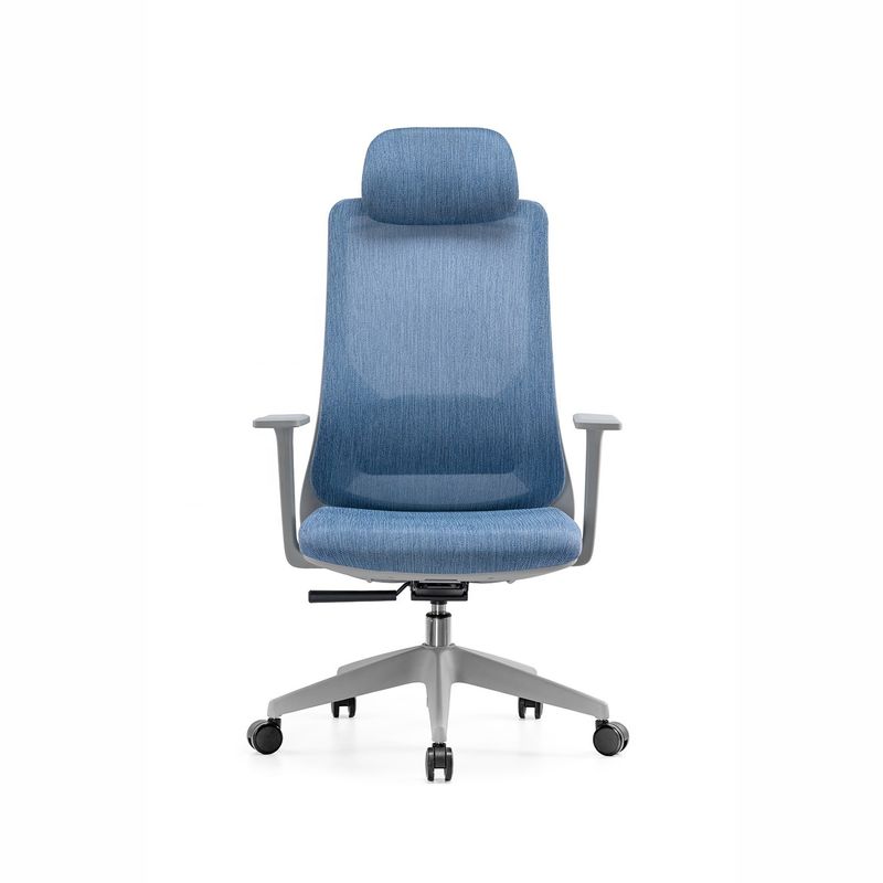 Personnaliser une chaise de bureau à molette pivotante à dos haut de luxe pour le directeur du personnel BIFMA Standard