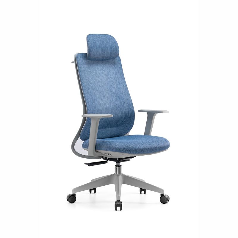 Personnaliser une chaise de bureau à molette pivotante à dos haut de luxe pour le directeur du personnel BIFMA Standard